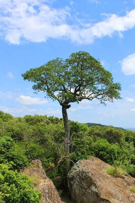 Foto 5 Lugares para fazer seu ensaio de casal em Sorocaba 2021/2022 Foto 5 Lugares para fazer seu ensaio de casal em Sorocaba 2021/2022 - Imagem 3