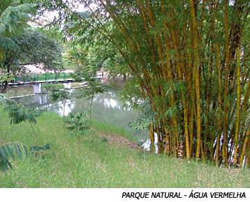 Foto 5 Lugares para fazer seu ensaio de casal em Sorocaba 2021/2022 Foto 5 Lugares para fazer seu ensaio de casal em Sorocaba 2021/2022 - Imagem 12